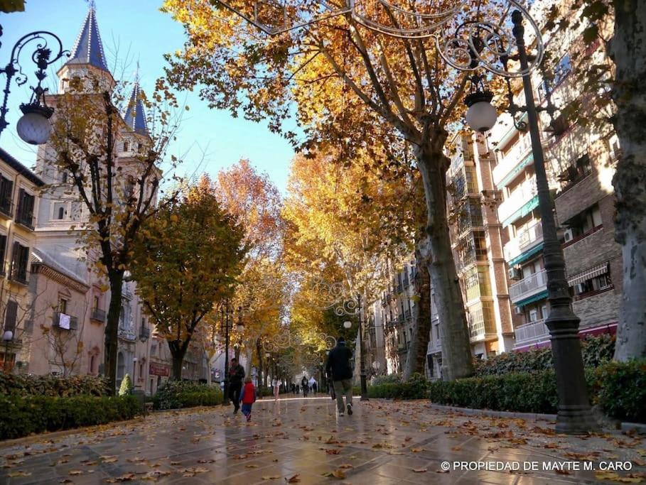 Appartement Center Wifi Parking Free